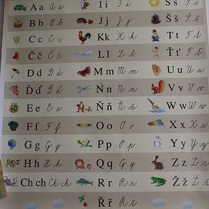 alfabet in de lagere school