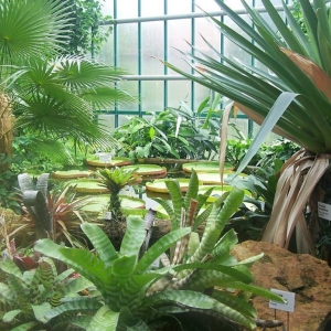 Botanische tuin Liberec