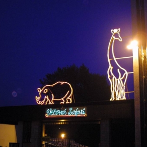 Dvur Kralove, bord voor avondsafari