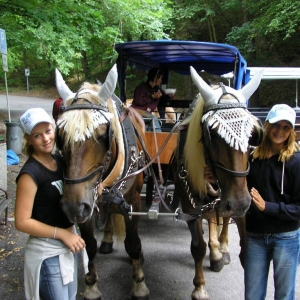 Met paard en kar naar karlstejn