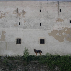 sovinec-hrad ( burcht ) de waak hond GGGGRRRR