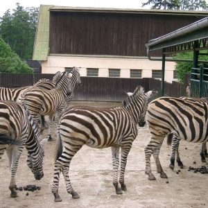 Zoo Liberec