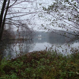 Meertje (jezero) bij Sadska...
