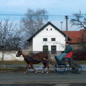 paard en wagen