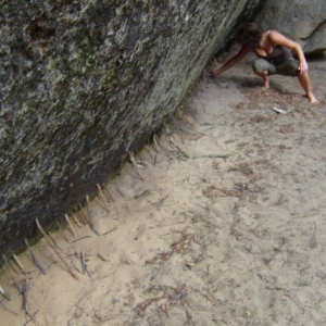 stokjes om de rots tegen te houden