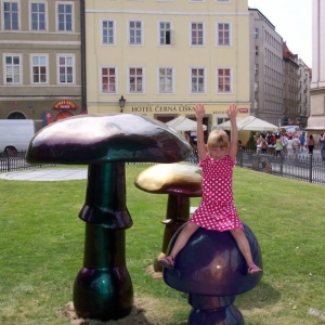 Paddestoelen in het centrum van Praag