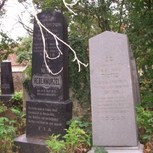 Joodse begraafplaats Straznice