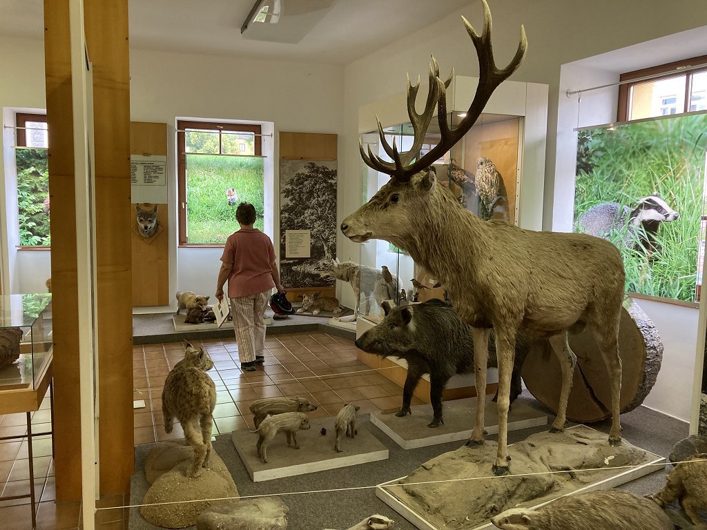 14 Kasperske Hory museum - natuurhistorische afdeling