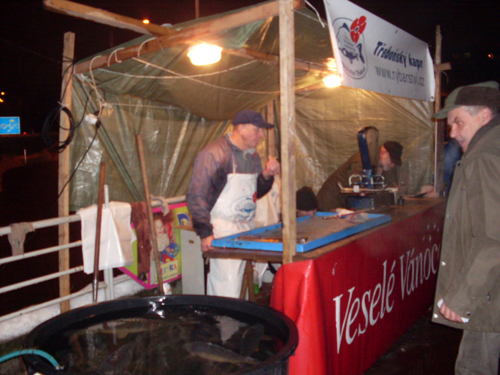 Bij Albert karperverkoop