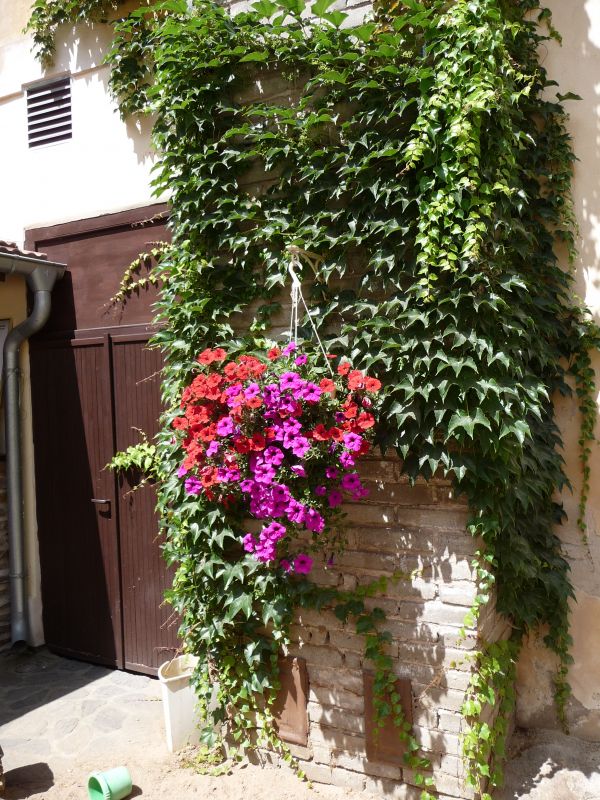 Bloemen van Keesi in Kutna-Hora.