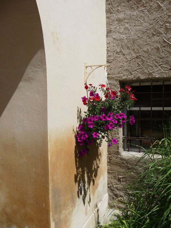 Bloemen van Keesi in Kutna-Hora.