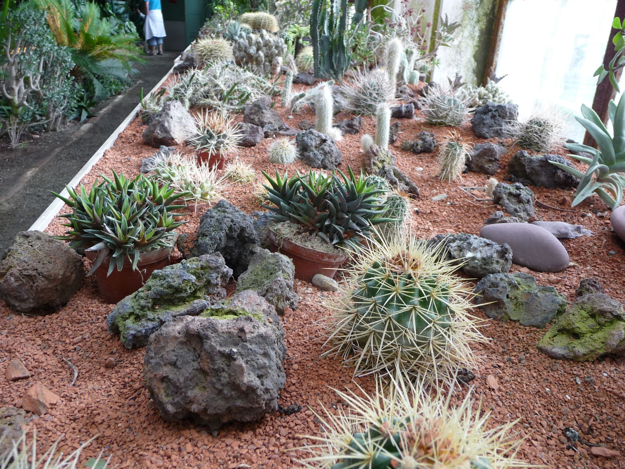 Bloementuin in Kromeriz