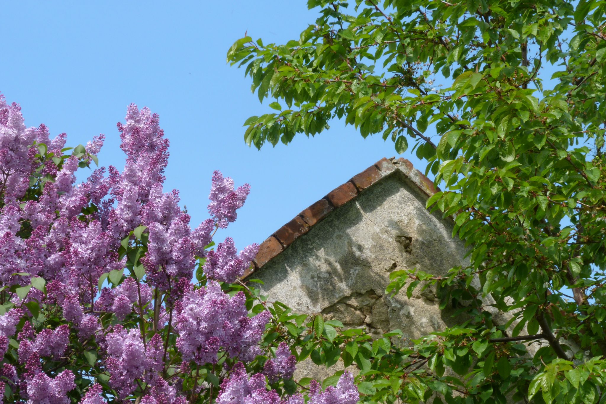 Boheemse hoeve in verval bij Slavce