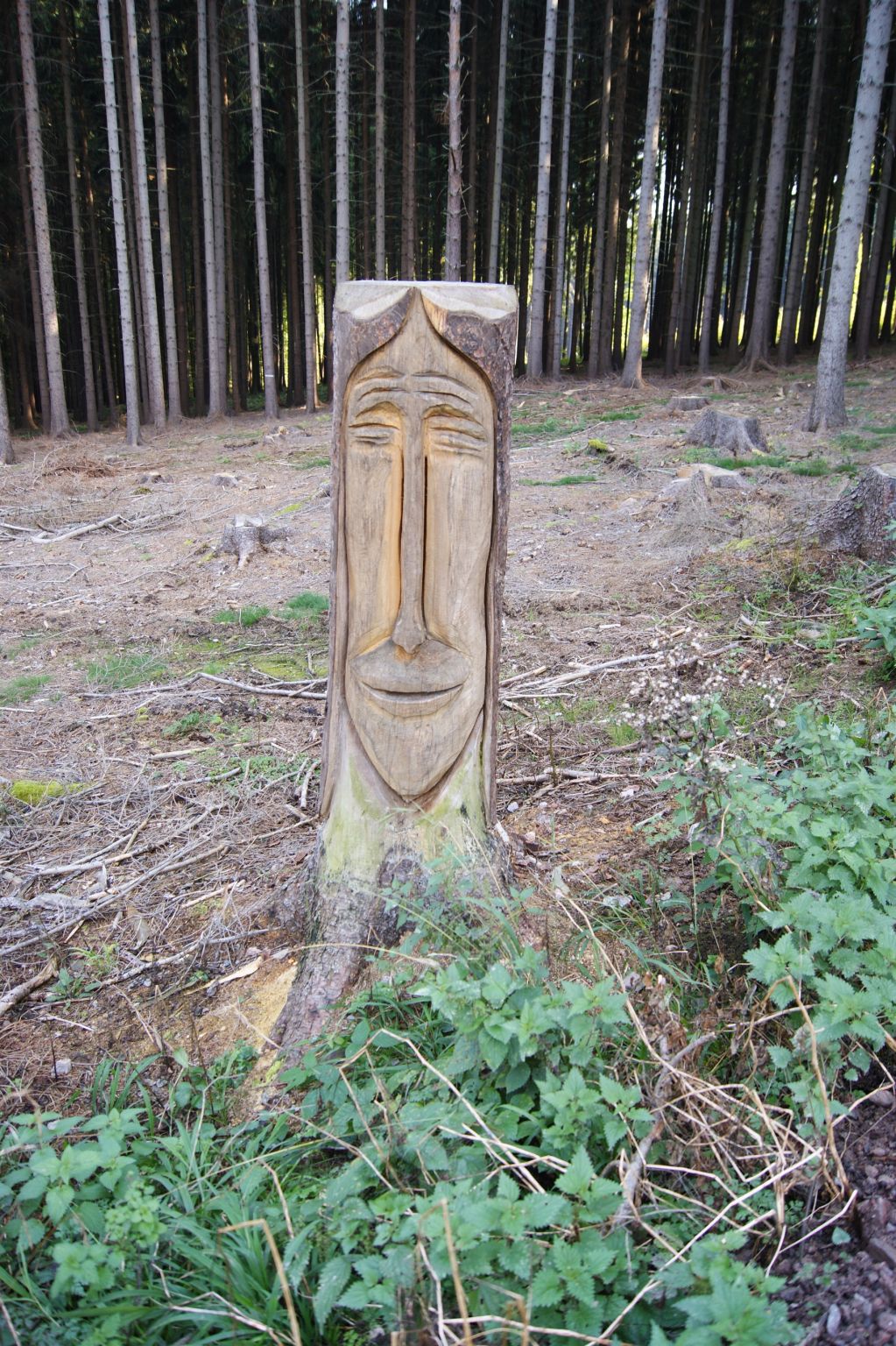 Boswachters crea-bea in het bos bij Boháòka?