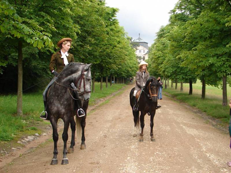 Chlumec nad Cidlinou