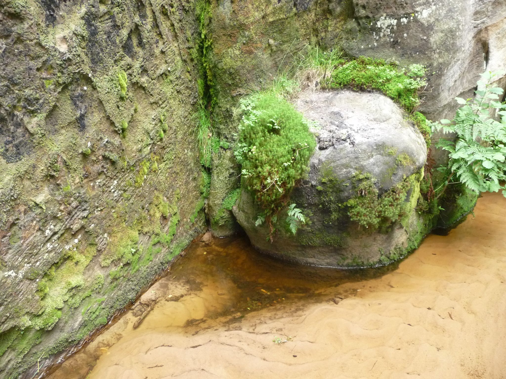 De Rotsenstad Adrspach