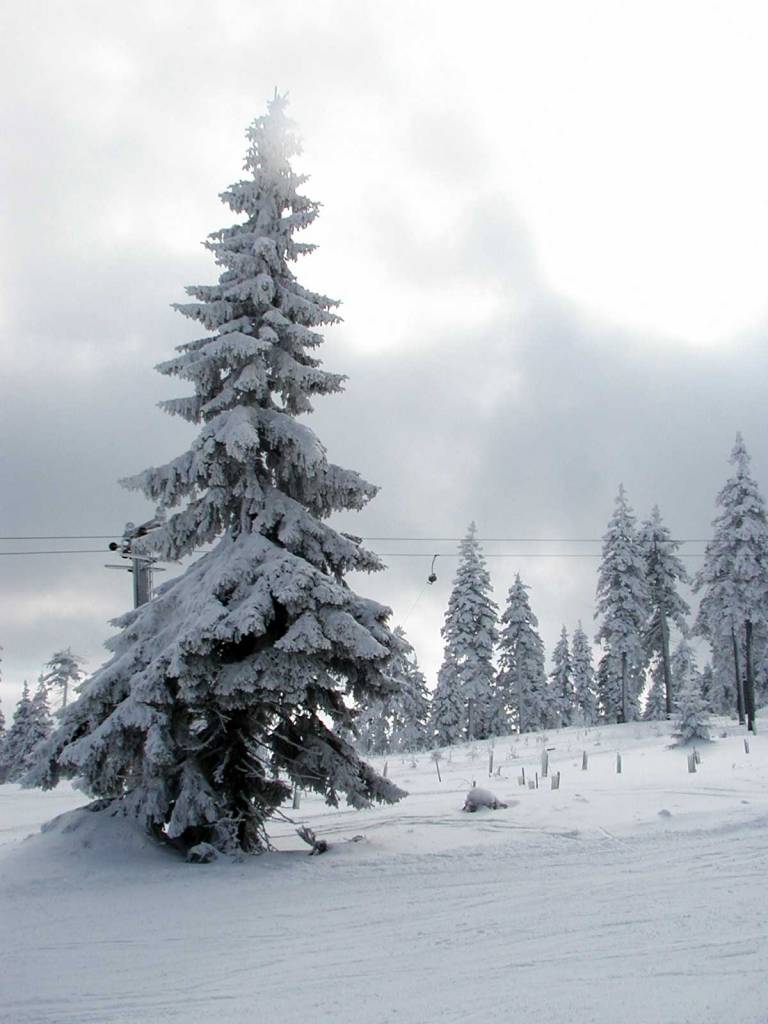Genoeg sneeuw op Klinovec