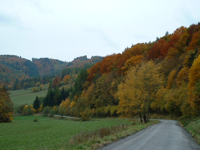 Herfst in Moravie