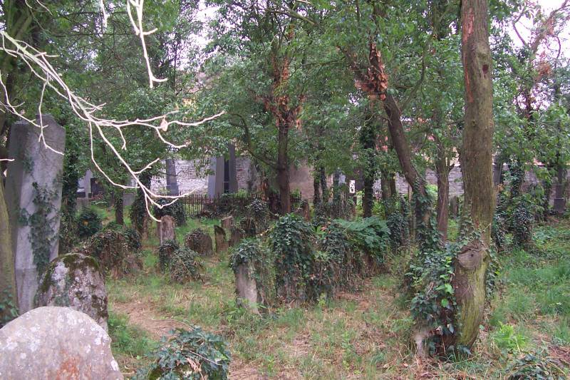 Joodse begraafplaats Straznice