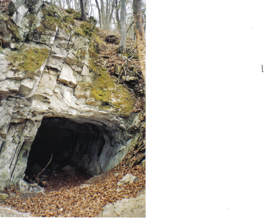 Koda beschermd natuurgebied