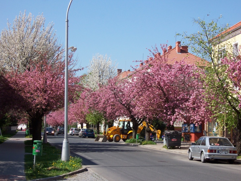 Kromeriz - voorjaar