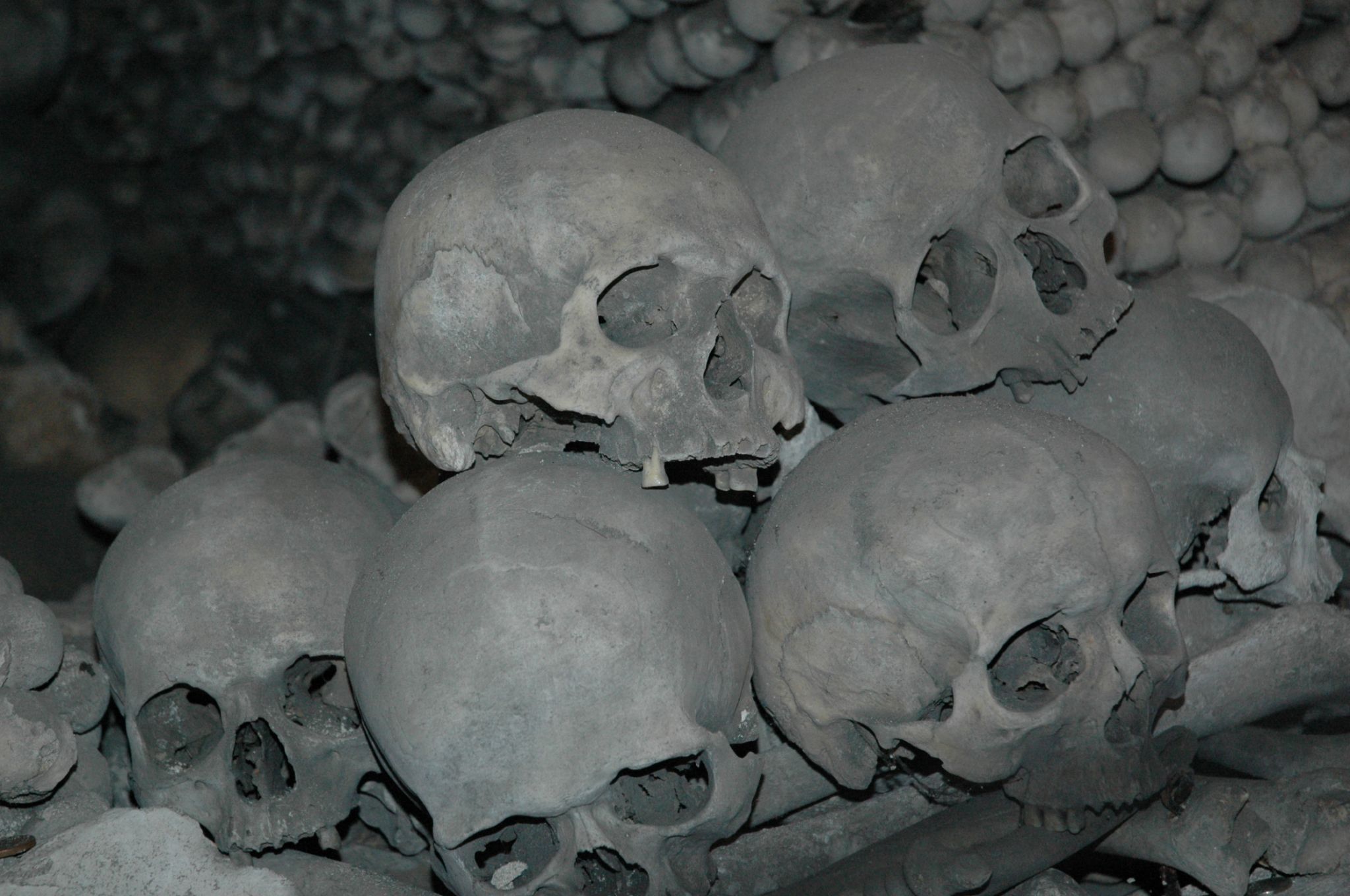 Kutna Hora Cathedraal & Kostnice