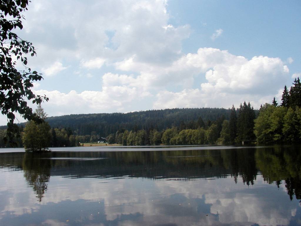 Natuurgebied   meertje bij Kladska