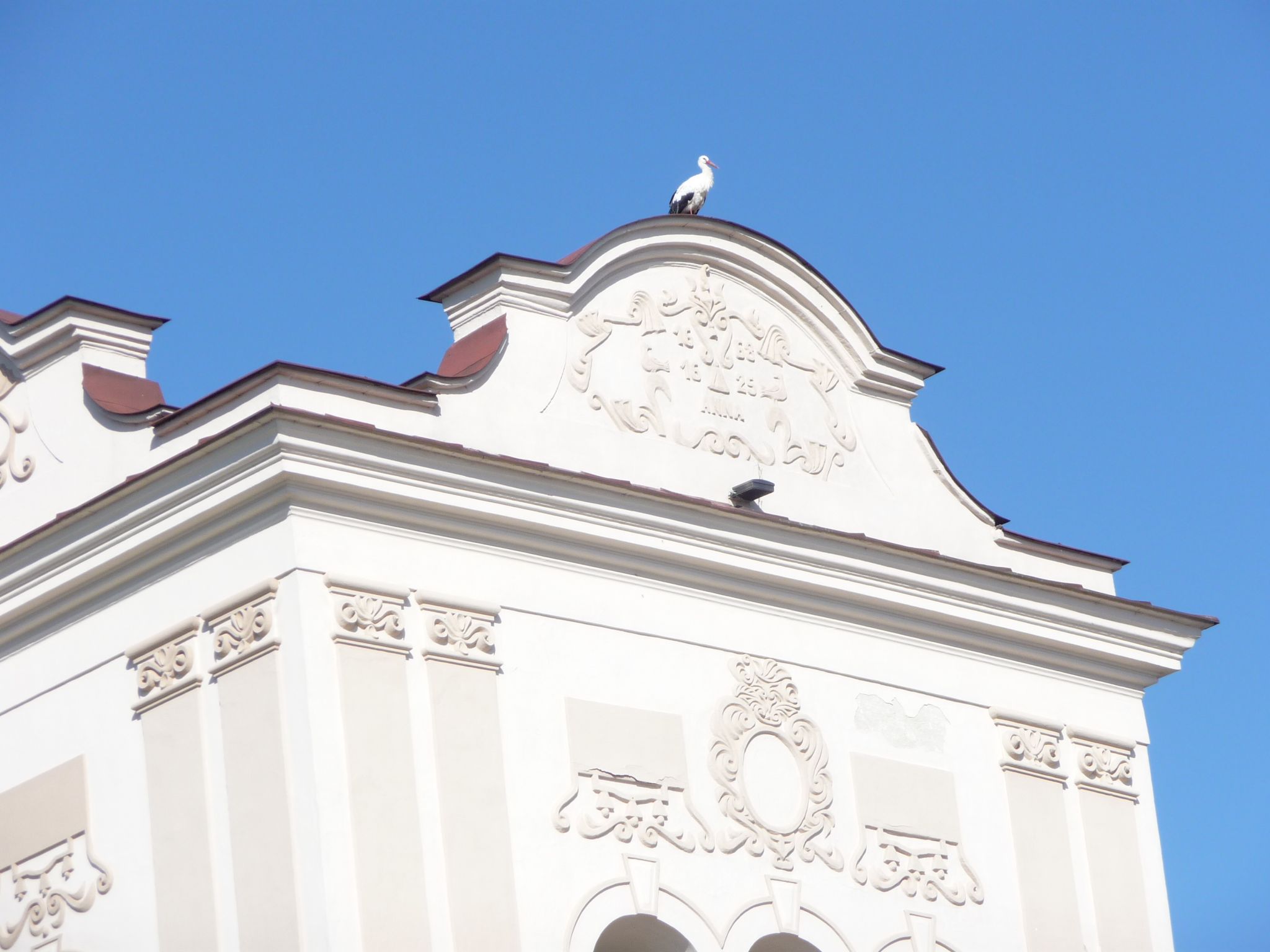 Ooievaar op de kerk in Spisska Sobota.