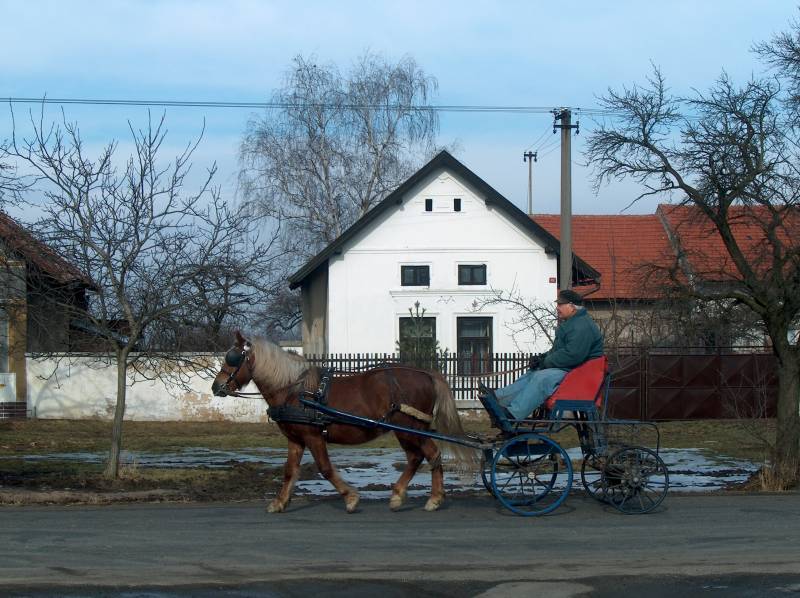 paard en wagen