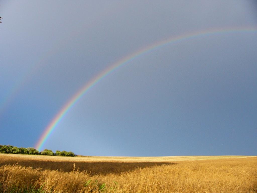 regenboog