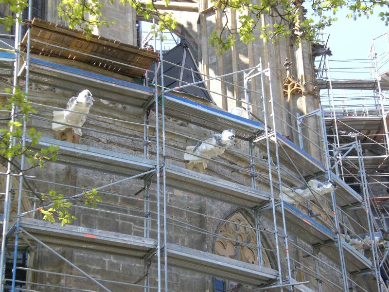 Schoonmaken van de waterspuwers op de kathedraal van Kutna Hora