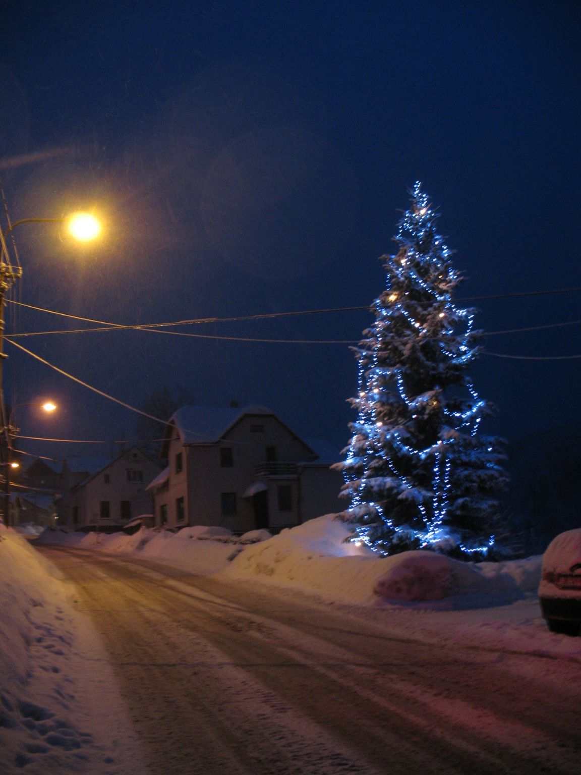 smorgens vroeg, kerstboom onderweg