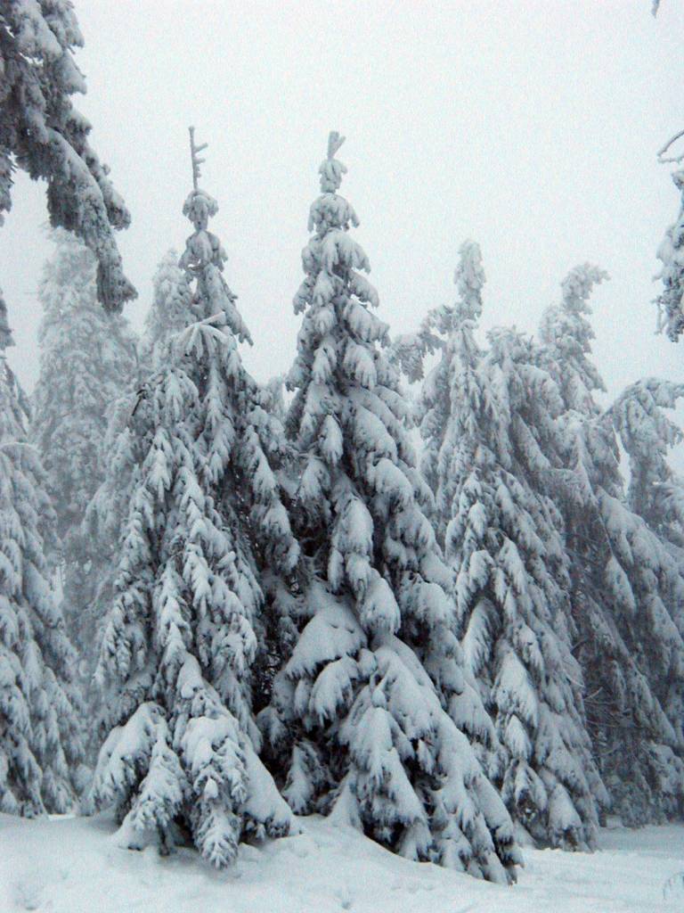 Sneeuw genoeg op Klinovec