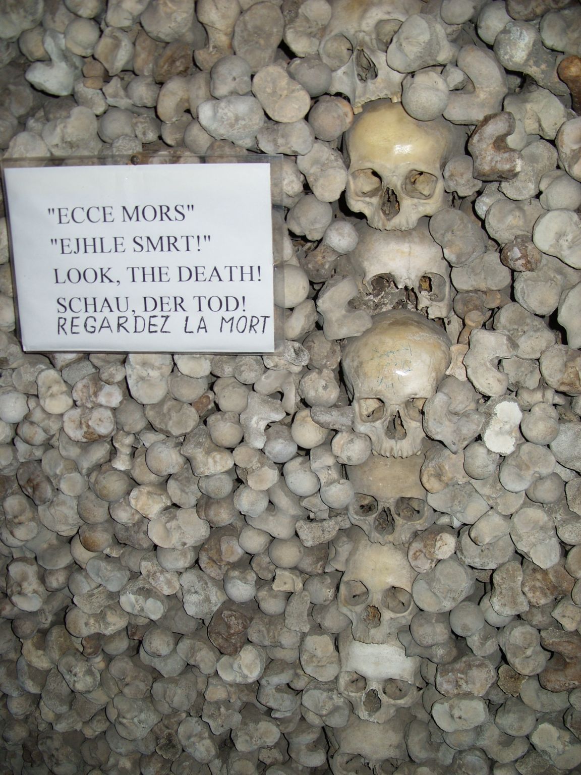 vakantie  augustus 2009 beroun en omgeving