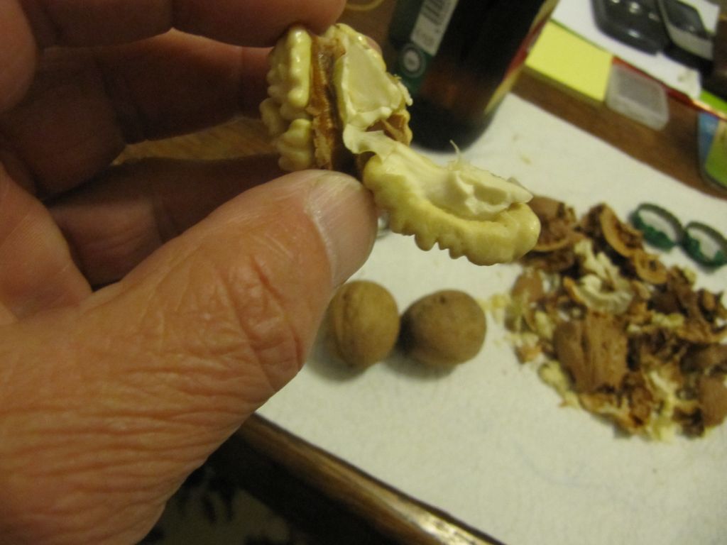 Verse walnoten komen er aan!