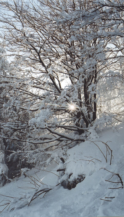 Winter in de beskydy