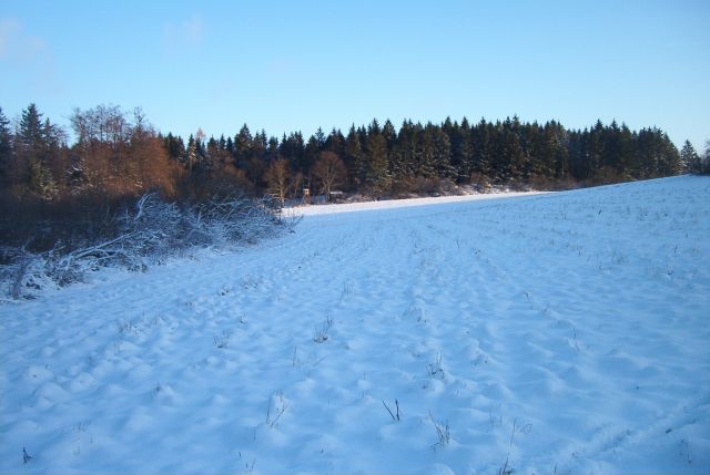 Winterwandeling in Tsjechie