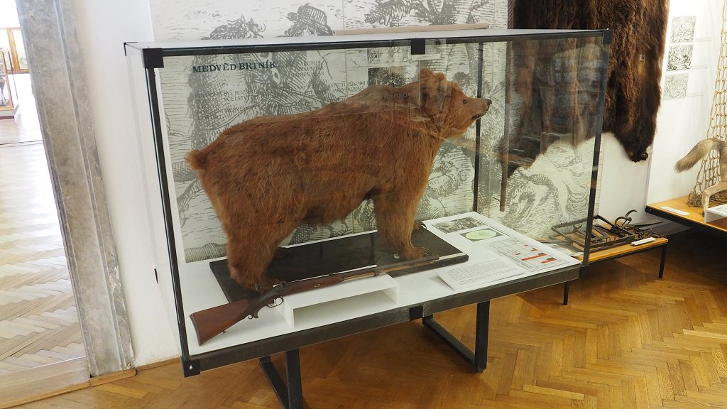 Zámek Ohrada: de laatste in Sumava geschoten beer