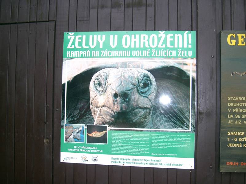 Zoo Dvur Kralove