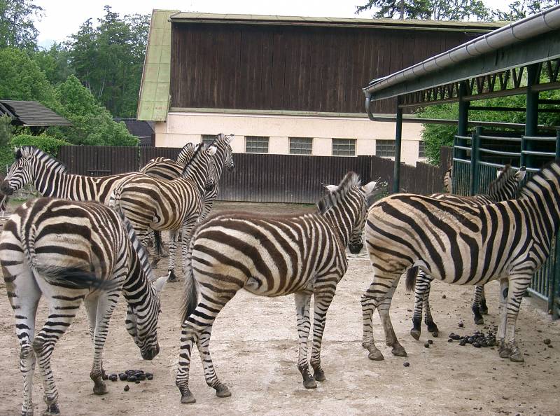 Zoo Liberec