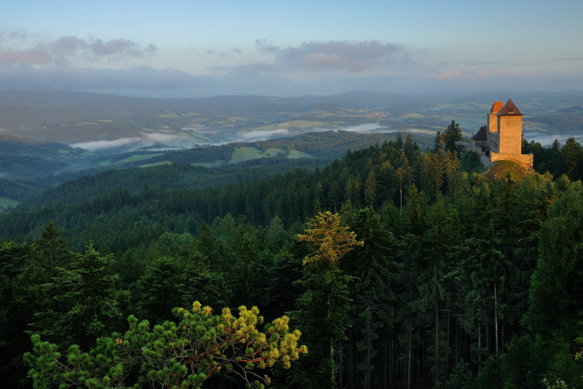 3-boheemse-woud-foto-dagmar-veselkova.jpg