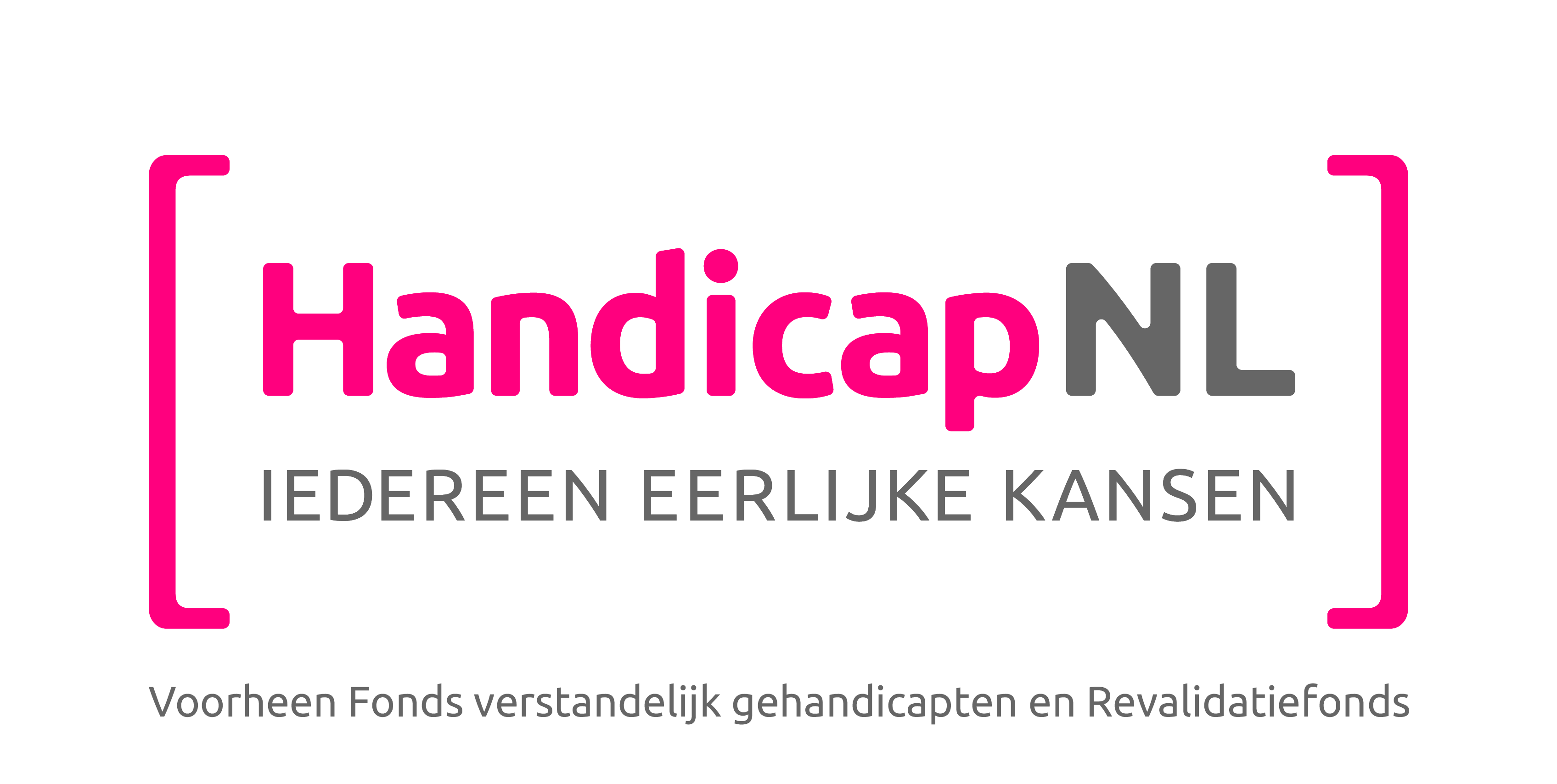 handicap.nl