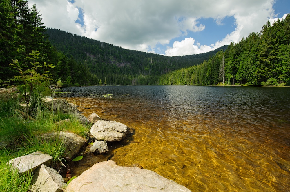 De-mooiste-natuurgebieden-van-Tsjechi%C3%AB-Nationaal-Park-%C5%A0umava.jpeg